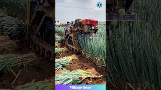 Download lagu My Eyes are WATERING Just Watching This😂This Onion Harvester is a BEAST! You Have to See It! #onion mp3