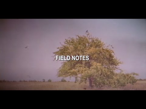 Video thumbnail for Field Notes