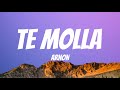 ARNON Te Molla Lyrics Video