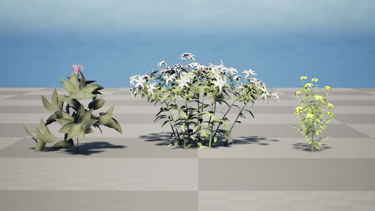 Native Arabian Flora Collection 3D Model
