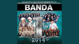 La Historia De Mis Manos