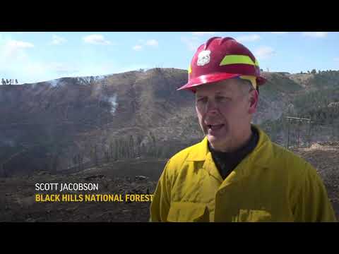 Crews battling Black Hills fires gaining control