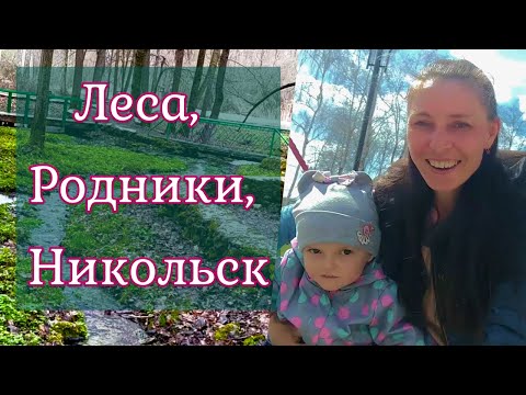 Едем к бабушке//г. Никольск//Пензенская область