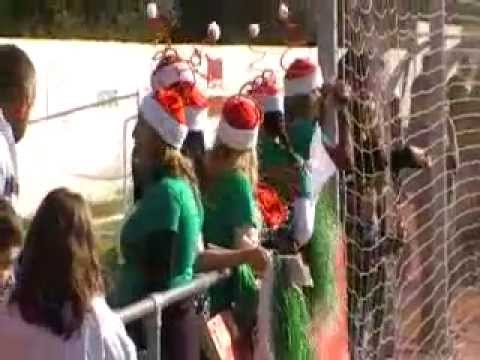 III Torneo Internacional Taraguilla " CARMELITAS CF BENAJMIN"