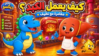 كيف يعمل الكبد؟ 🧡 مغامرة ريكسو مع «نظيف» داخل جسم الإنسان