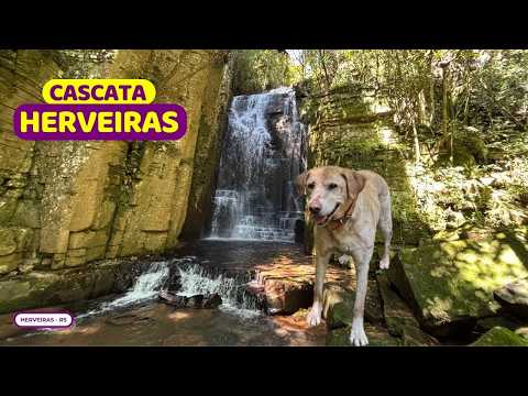 😱COM ou SEM? Descubra a Cascata Herveiras | Herveiras