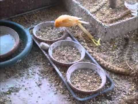 2014 04 12 Hansi schöpft aus dem Vollen