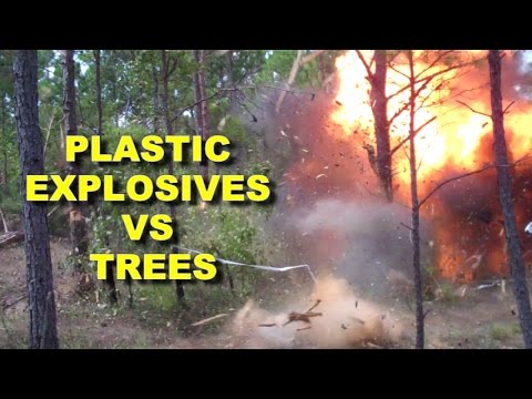 Blowing up Trees with C4! Up close!  Army Combat Engineers
