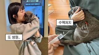 먼지가 또다시 너무 아팠어요