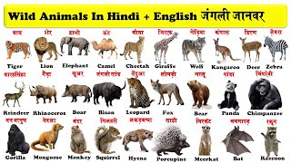 wild animals in english and hindi with pdf | जंगली जानवर | wild animals names | download pdf |