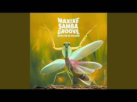 Tá Nascendo Flor no Asfalto