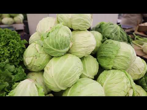 Ceger ep. 496 11.01.2021.