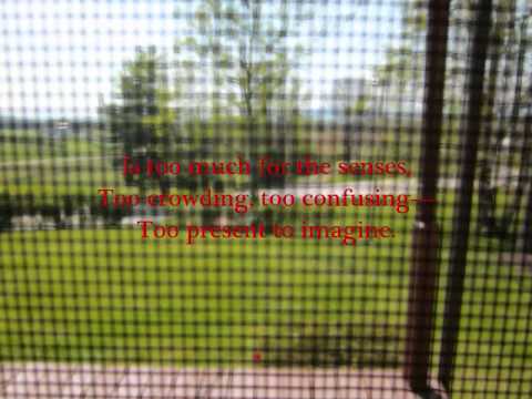 Carpe Diem by Robert Frost