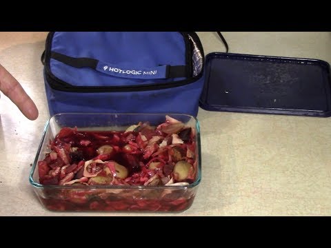 Home Made Borscht in the Hot Logic Mini