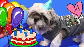 Fiesta de cumpleaños de Hamilton de Paw Patrol | Muñecas y juguetes con Andre para niñas y niños