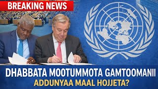 Download lagu Dhabbata Mootummotq Gamtoomanii Addunyaa Maal Hojjeta ? mp3