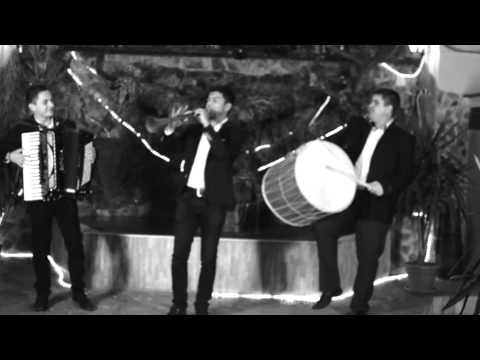 Neka udrat tapani - Forzza Bend Probistip