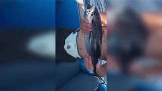 Рыбалка на островах бали с берега