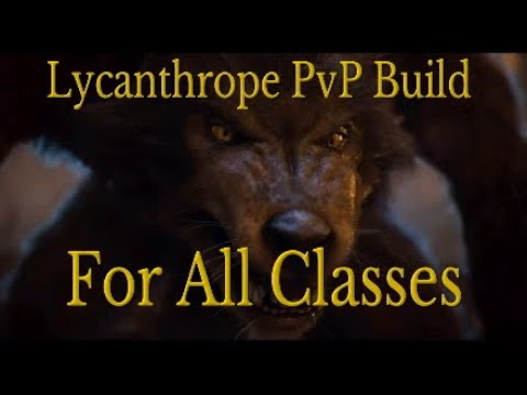 ESO's Best Lycanthrope/Werewolf PvP Build in Greymoor