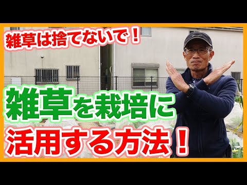 この冬、あなたのエクステリアを明るくするのに、ほとんど何も必要とせず、非常に素朴なコンテナプラント 6 つをご紹介します。  庭園