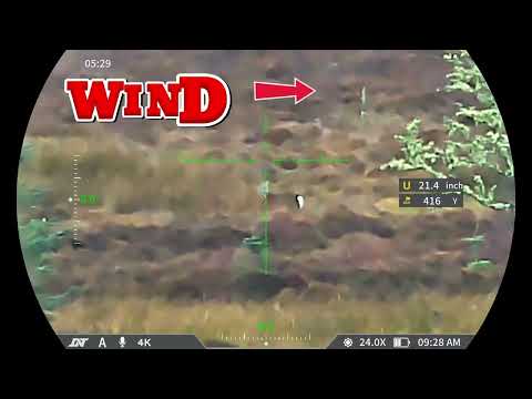 Long Range Deer Control Using Zulus 4k