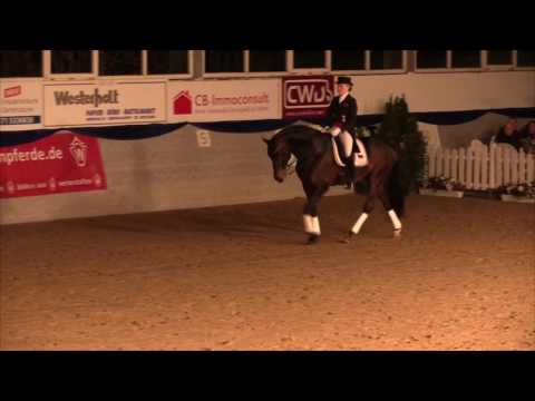 Rock Forever NRW - Hengstschau Holkenbrink 2017