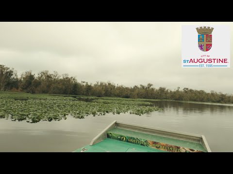 St. Augustine Florida Airboat Tour - We're Speeding Up! | Oakland Travel