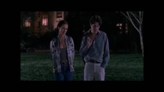 Thegiornalisti gli alberi