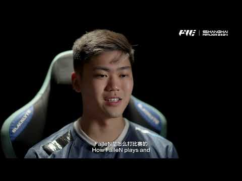 Who Inspired NiKo to Start a Professional Career?