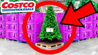 10 Things You SHOULD Be Buying at Costco in November 2023
