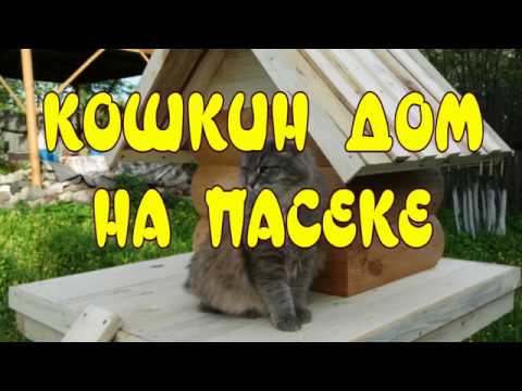 КОШКИН ДОМ НА ПАСЕКЕ. ДОМИК ДЛЯ КОШЕК СВОИМИ РУКАМИ.