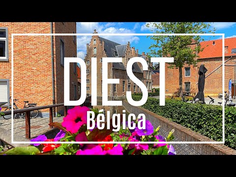 Video de Diest