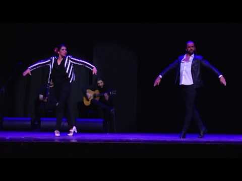 Un Abrazo en Silencio - Flamenco Performance by Philippa Stylianoude (Farruca)