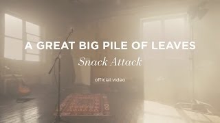 A Great Big Pile of Leaves - Snack Attack (Official Music Video)
