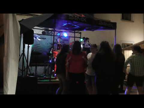 D'Hundskrippln , Gloaner Bauer / De wuiden zwoa & friends