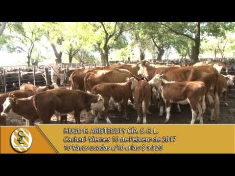 10-02-17 - Venta de Vientres - Hugo R. Aristegui y Cia - Cacharí