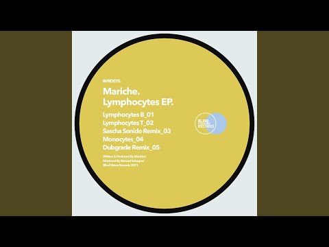 Lymphocytes B (Original Mix)