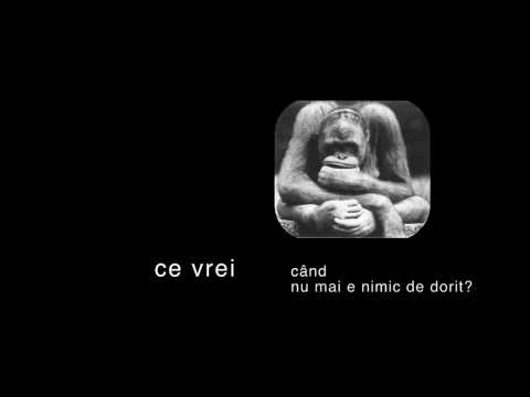 Ce faci cand n-ai ce face?