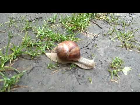 Путешествуем на Шкода Октавия А7!!! Москва - Владимирская область!!!