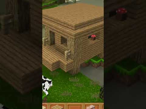 Mencoba Seed Rumah Witch Seed 236754