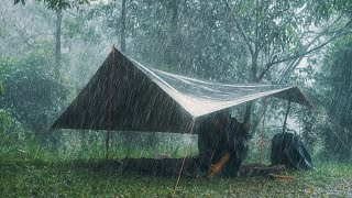 The Heaviest Rain I've Ever Experienced While Camping || Solo Camping in The HEAVY RAIN - ASMR