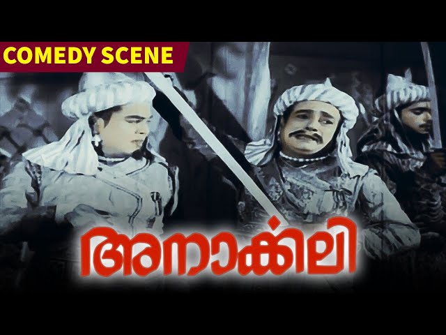 Anarkali Malayalam Movie | Comedy Scene | Kunchacko | Prem Nazir | K. R. Vijaya | Sathyan