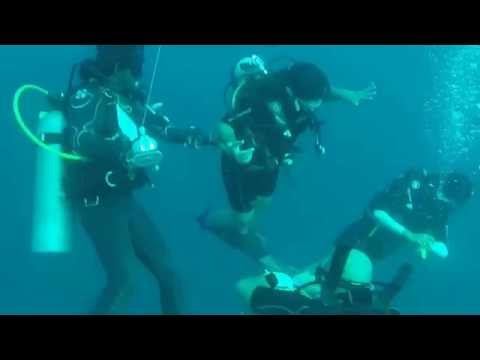 download lagu mp3 mp4 Scuba Diving Pondicherry With Temple Adventures Price, download lagu Scuba Diving Pondicherry With Temple Adventures Price gratis, unduh video klip Scuba Diving Pondicherry With Temple Adventures Price
