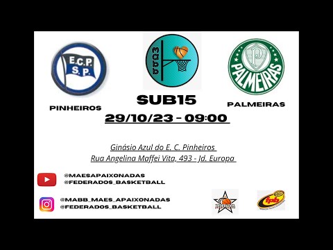 SUB15 - Pinheiros x Palmeiras