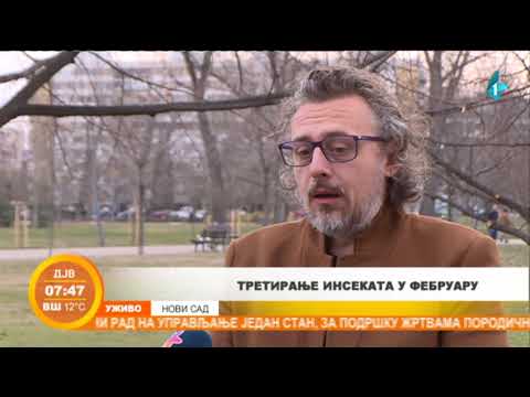 Uz slabiju zimu brže su nam stigli komarci i smrdibube