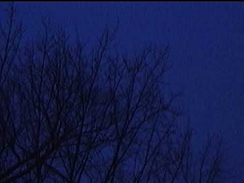 [FREE] guardin x 9tails x convolk  type beat - "Something about u" (prod. mxtthxw)