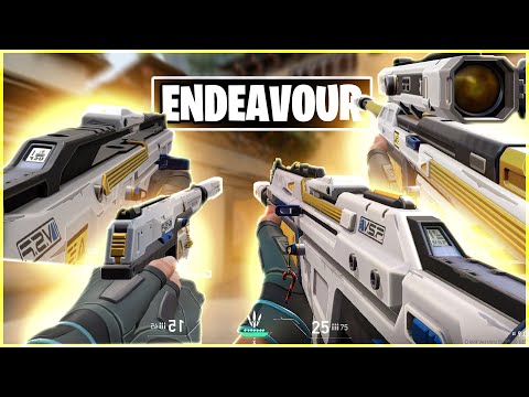 ALL *ENDEAVOUR* Collection Guns IN-GAME SHOWCASE! - VALORANT