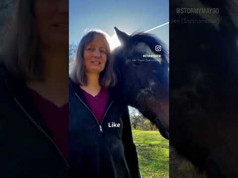 I told my horse I wanted more clarity in my life… ￼