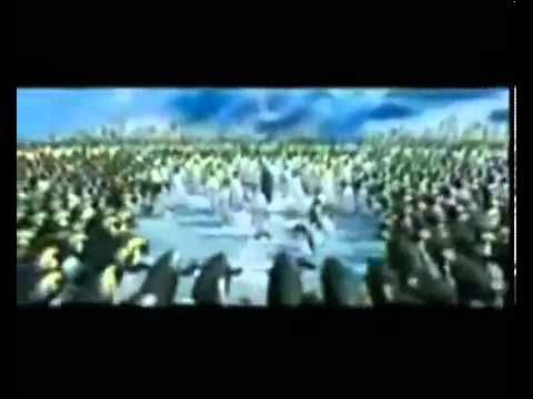 Quligowscy   Z kopyta kulig rwie360p H 264 AAC