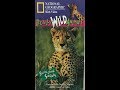Opening And Closing To Really Wild Animals Swinging Safari 1993 VHS